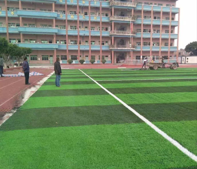 廣東省東莞市企石鎮(zhèn)新域學校